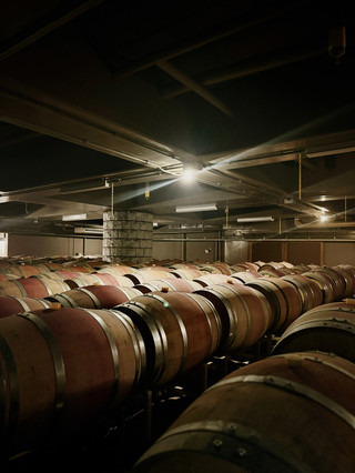 [Usa City, Oita] Kyushu's Proud Wine Village! The Finest Vintages Crafted by Nature.