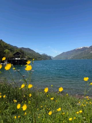 Murg (Walensee) – A Hidden Road Trip Rest Stop with Mountain Views.