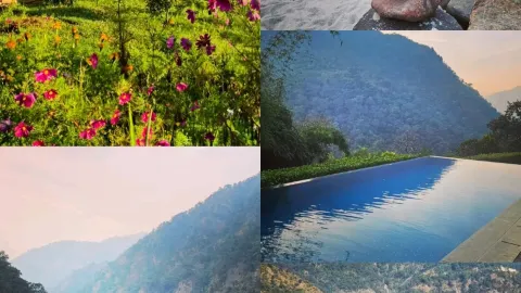 🌊 Приключения в Ришикеше: Краткий гид для путешественника — traveler post in Ришикеш