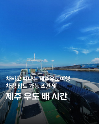 차 타고 떠나는 제주 우도 여행! 차🚗를 갖고 들어갈 수 있을까? 배⛴️ 시간은? 핵심 정보 총정리📝👌