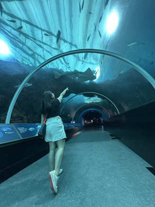 Waiting for My Ocean Adventure 🌊💙