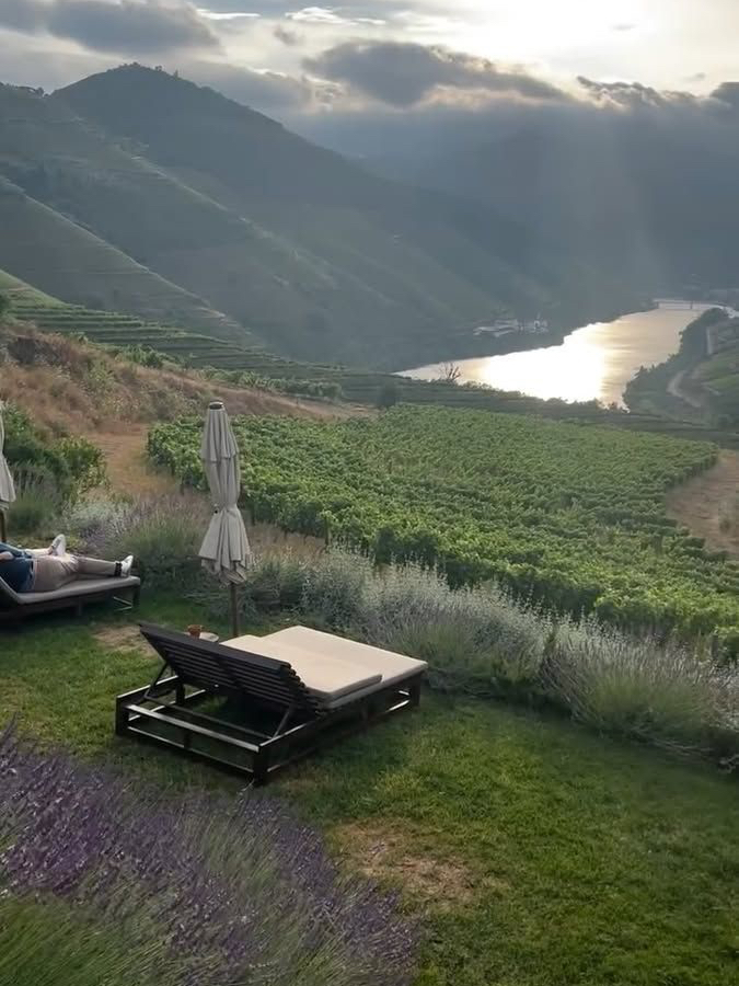 Uncovering the Magic of the Douro Valley: My Favorite Local Discoveries