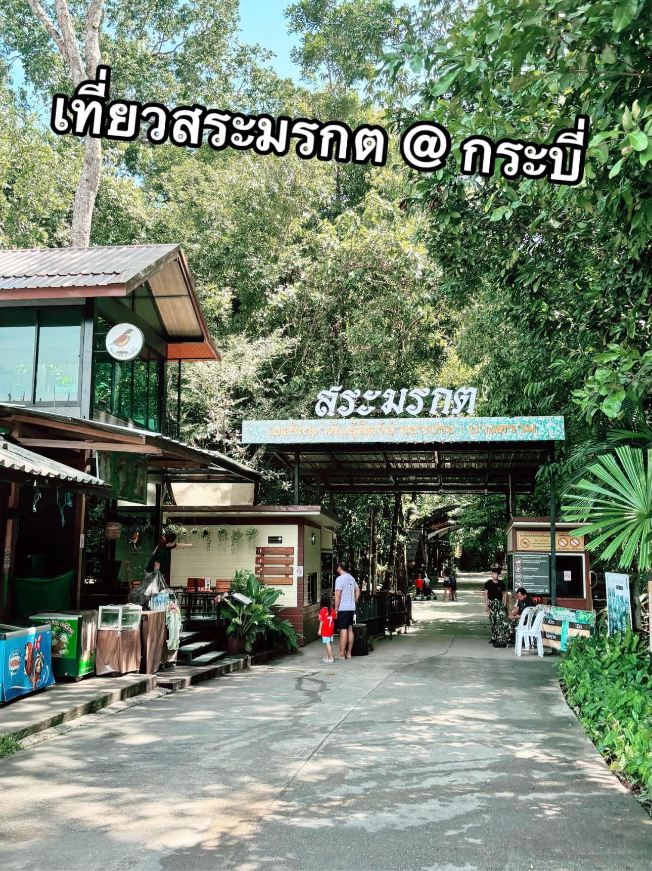 💚 **สระมรกต กระบี่…ธรรมชาติสีเขียวมรกตที่ต้องไปเห็นด้วยตาตัวเองสักครั้ง! 🌿💦**

ถ้าพูดถึงสถานที่ท่องเที่ยวทางธรรมชาติของจังหวัดกระบี่ หนึ่งในสถานที่ที่ไม่ควรพลาดเลยก็คือ **“สระมรกต”** แหล่งท่องเที่ยวชื่อดังที่ซ่อนตัวอยู่ท่ามกลางผืนป่าใน **เขตรักษาพันธุ์สัตว์ป่าเขาประ–บางคราม** อำเภอคลองท่อม จังหวัดกระบี่

ที่นี่ไม่ได้มีดีแค่สระน้ำสีเขียวใสสวยสะดุดตา แต่ยังเป็นสถานที่ที่เหมาะกับการมาสัมผัสธรรมชาติ สูดอากาศบริสุทธิ์ เดินป่าเบา ๆ และใช้เวลาช้า ๆ อยู่กับตัวเองหรือคนที่เรารัก

ใครที่กำลังวางแผนเที่ยวกระบี่ แล้วอยากเปลี่ยนบรรยากาศจากทะเล มาเที่ยวป่า เล่นน้ำ และชมความงามของธรรมชาติ บอกเลยว่า **สระมรกตคืออีกหนึ่งแลนด์มาร์กที่ควรใส่ไว้ในแพลน**

🌳 **ออกเดินทางเข้าสู่ผืนป่า**

การมาเที่ยวสระมรกต สิ่งหนึ่งที่ทำให้รู้สึกสนุกตั้งแต่ต้นคือการเดินเข้าไปตามเส้นทางธรรมชาติ เพราะไม่ได้ขับรถไปจอดแล้วเจอสระทันที แต่ต้องเดินเท้าเข้าไปผ่านพื้นที่ป่าร่มรื่น

ระหว่างทางจะได้สัมผัสกับบรรยากาศของป่าดิบชื้น มีต้นไม้ขนาดใหญ่ปกคลุมสองข้างทาง เสียงนกและเสียงธรรมชาติช่วยสร้างบรรยากาศให้รู้สึกเหมือนได้หลบหนีจากความวุ่นวายของเมืองมาอยู่ในอีกโลกหนึ่ง

เส้นทางเดินมีทั้งช่วงที่ค่อนข้างสบายและช่วงที่ต้องใช้แรงพอสมควร แต่โดยรวมถือว่าเป็นกิจกรรมที่เหมาะกับคนที่อยากออกกำลังกายเบา ๆ ระหว่างเที่ยว

แนะนำให้ใส่รองเท้าที่เดินสบายและยึดเกาะพื้นได้ดี เพราะบางช่วงอาจมีความชื้นหรือพื้นลื่น โดยเฉพาะในช่วงฤดูฝน

เดินไปเรื่อย ๆ ก็จะเริ่มได้ยินเสียงน้ำ และเมื่อเดินเข้าใกล้จุดหมายมากขึ้น ความเหนื่อยก็เริ่มหายไป เพราะด้านหน้าคือภาพของ **“สระมรกต”** ที่รอให้เราได้เห็น

💚 **วินาทีแรกที่เห็นสระมรกต**

ความรู้สึกตอนเห็นน้ำสีเขียวมรกตครั้งแรกคือ “สวยกว่าที่คิดไว้!”

น้ำในสระมีสีเขียวใสจนสะดุดตา โดยเฉพาะในวันที่แสงแดดส่องลงมากระทบผิวน้ำ จะเห็นสีของน้ำเปลี่ยนไปตามมุมของแสง กลายเป็นภาพที่สวยและมีเสน่ห์มาก

รอบ ๆ สระเต็มไปด้วยต้นไม้สีเขียว ทำให้สีของน้ำโดดเด่นขึ้นมาอีกหลายเท่า

สิ่งที่ทำให้สระมรกตมีเสน่ห์คือความรู้สึกว่าเรากำลังยืนอยู่ท่ามกลางธรรมชาติจริง ๆ ไม่มีตึกสูง ไม่มีเสียงรถ ไม่มีความวุ่นวาย มีเพียงต้นไม้ น้ำใส ๆ และเสียงธรรมชาติ

แน่นอนว่ามุมถ่ายรูปมีเยอะมาก 📸

ไม่ว่าจะถ่ายภาพมุมกว้างให้เห็นสระกับป่า หรือถ่ายภาพตัวเองกับน้ำสีเขียวมรกต ก็สามารถเก็บเป็นภาพความทรงจำของทริปกระบี่ได้แบบสวย ๆ

💦 **แล้วลงเล่นน้ำได้ไหม?**

สำหรับใครที่อยากลงเล่นน้ำ ต้องตรวจสอบพื้นที่และข้อกำหนดของเจ้าหน้าที่ในวันที่เดินทาง เพราะบริเวณสระมรกตมีการกำหนดพื้นที่สำหรับเล่นน้ำและพื้นที่อนุรักษ์

และหากมีจุดที่เปิดให้ลงเล่นน้ำ แนะนำให้ปฏิบัติตามกฎของสถานที่อย่างเคร่งครัด ไม่ใช้สบู่ แชมพู หรือสารเคมีใด ๆ ลงในน้ำ และช่วยกันรักษาความสะอาด เพื่อให้สระมรกตยังคงความสวยงามอยู่กับเราไปอีกนาน ๆ

ที่สำคัญคืออย่าลืมว่าเราไม่ได้มาแค่เที่ยว แต่กำลังเข้ามาในพื้นที่ธรรมชาติที่มีความสำคัญต่อระบบนิเวศ

🌿 **ไม่ได้มีแค่สระมรกต**

อีกหนึ่งไฮไลต์ของการมาเที่ยวบริเวณนี้คือ **สระแก้ว** ซึ่งเป็นอีกจุดที่สามารถแวะชมธรรมชาติได้ โดยเส้นทางรอบ ๆ มีบรรยากาศร่มรื่นและมีน้ำใสให้ชม

นอกจากนี้ ในพื้นที่ยังมี **สระน้ำผุด** ซึ่งเป็นจุดที่มีความมหัศจรรย์ทางธรรมชาติ เพราะมีน้ำผุดขึ้นมาจากพื้นดินจนเกิดเป็นแหล่งน้ำสีฟ้าใสสวยงาม

น้ำที่นี่มีสีฟ้าอมเขียวใสจนดูเหมือนสระน้ำธรรมชาติที่ถูกแต่งสี แต่จริง ๆ แล้วเป็นปรากฏการณ์ทางธรรมชาติจากแหล่งน้ำใต้ดิน

เมื่อมองลงไปจะเห็นน้ำใสมากจนสามารถมองเห็นพื้นด้านล่างได้ เป็นอีกหนึ่งจุดที่สายถ่ายรูปไม่ควรพลาด

อย่างไรก็ตาม จุดต่าง ๆ อาจมีข้อกำหนดเรื่องการเข้าใช้พื้นที่และการลงเล่นน้ำที่แตกต่างกัน ดังนั้นควรเช็กข้อมูลกับเจ้าหน้าที่ก่อนเข้าใช้พื้นที่

🥾 **เที่ยวแบบไหนถึงจะสนุก?**

สำหรับคนที่ไม่ค่อยได้ออกกำลังกาย อย่าเพิ่งกังวลว่าการเที่ยวสระมรกตจะต้องเดินป่าหนัก ๆ เพราะสามารถเดินตามเส้นทางธรรมชาติในระดับที่พอเหมาะ และใช้เวลาเดินแบบไม่รีบร้อนได้

เคล็ดลับคือ **อย่ารีบเดินจนเกินไป**

ลองเดินช้า ๆ แวะดูต้นไม้ ฟังเสียงนก สูดอากาศ และถ่ายรูปเป็นระยะ ๆ เพราะเสน่ห์ของที่นี่ไม่ได้อยู่แค่ปลายทาง แต่ระหว่างทางก็มีธรรมชาติให้เราได้สัมผัสเช่นกัน

ควรเตรียมน้ำดื่มให้พร้อม สวมเสื้อผ้าที่ระบายอากาศได้ดี และพกหมวกหรืออุปกรณ์กันแดด โดยเฉพาะถ้าเดินทางในวันที่อากาศร้อน

ส่วนใครที่มาเที่ยวกับเด็กหรือผู้สูงอายุ ควรประเมินสภาพร่างกายและเลือกเส้นทางที่เหมาะสม เพราะบางช่วงอาจต้องเดินระยะทางพอสมควร

📸 **มุมถ่ายรูปที่ไม่ควรพลาด**

ถ้ามาสระมรกตแล้ว แน่นอนว่าต้องมีรูปกลับบ้าน!

มุมที่แนะนำคือบริเวณริมสระที่สามารถเห็นน้ำสีเขียวมรกตเป็นฉากหลัง หรือถ่ายภาพมุมกว้างให้เห็นทั้งสระและผืนป่า จะได้ภาพที่ดูเป็นธรรมชาติมาก

ช่วงเช้าหรือช่วงที่แดดไม่แรงเกินไปก็เหมาะกับการถ่ายภาพ เพราะแสงจะไม่แข็งจนเกินไป และอากาศก็ยังค่อนข้างสบาย

แต่สิ่งสำคัญกว่าการได้รูปสวย ๆ คือ **อย่าออกนอกเส้นทางที่กำหนดเพื่อถ่ายรูป** และอย่าเหยียบย่ำพืชหรือทำลายธรรมชาติ เพราะภาพหนึ่งภาพไม่ควรแลกกับความเสียหายของพื้นที่ธรรมชาติ

💚 **ความรู้สึกหลังจากเที่ยวจบ**

สิ่งที่ชอบที่สุดของการมาสระมรกตไม่ใช่แค่สีของน้ำ แต่คือความรู้สึกที่ได้ใช้เวลาอยู่ท่ามกลางธรรมชาติ

จากตอนแรกที่เดินเข้ามาอาจรู้สึกเหนื่อย แต่พอได้เห็นสระน้ำสีเขียวใส ได้ฟังเสียงน้ำ ได้เห็นต้นไม้สูง ๆ รอบตัว ความเหนื่อยกลับกลายเป็นความรู้สึกว่า “คุ้มมาก”

มันเป็นสถานที่ที่เหมาะกับการมาเที่ยวแบบไม่ต้องรีบ

เดินช้า ๆ
ถ่ายรูป
นั่งพัก
มองน้ำ
ฟังเสียงธรรมชาติ

บางครั้งการเที่ยวที่ดีอาจไม่จำเป็นต้องมีกิจกรรมเยอะ แค่ได้พาตัวเองออกจากหน้าจอและความวุ่นวาย แล้วมาอยู่กับธรรมชาติสักพัก ก็รู้สึกสดชื่นขึ้นมาได้แล้ว

⭐ **สรุปรีวิวสระมรกต กระบี่**

ถ้าให้คะแนนจากความประทับใจส่วนตัว

🌿 ความสวยงามของธรรมชาติ: ⭐⭐⭐⭐⭐
💚 ความสวยของสระน้ำ: ⭐⭐⭐⭐⭐
🥾 เส้นทางเดินธรรมชาติ: ⭐⭐⭐⭐
📸 มุมถ่ายรูป: ⭐⭐⭐⭐⭐
👨👩👧👦 เหมาะกับการเที่ยวกับครอบครัว: ⭐⭐⭐⭐½
💦 ความสดชื่น: ⭐⭐⭐⭐⭐

**สระมรกต กระบี่** เป็นอีกหนึ่งสถานที่ที่อยากแนะนำสำหรับคนที่มาเที่ยวกระบี่แล้วอยากสัมผัสธรรมชาติในมุมที่แตกต่างจากทะเล

ที่นี่ทำให้เห็นว่ากระบี่ไม่ได้มีแค่ทะเลสวย ๆ เกาะ และชายหาด แต่ยังมีผืนป่า แหล่งน้ำธรรมชาติ และระบบนิเวศที่สวยงามซ่อนอยู่ด้วย

ถ้ามีโอกาสมาเที่ยวกระบี่ ลองแบ่งเวลาสักหนึ่งวันออกจากแพลนทะเล แล้วพาตัวเองมาเดินเล่นท่ามกลางผืนป่า ชมสระน้ำสีมรกต และสัมผัสธรรมชาติแบบใกล้ชิด

รับรองว่าเป็นอีกหนึ่งทริปที่ได้ทั้ง **รูปสวย ความสดชื่น และความทรงจำดี ๆ กลับบ้าน** 💚🌿

📍 **สระมรกต (Emerald Pool) จังหวัดกระบี่**
📍 อำเภอคลองท่อม จังหวัดกระบี่

💡 **ทิปเล็ก ๆ ก่อนเดินทาง:** ควรตรวจสอบเวลาเปิด-ปิด ค่าเข้าชม สภาพเส้นทาง และข้อกำหนดเรื่องการลงเล่นน้ำกับทางสถานที่หรือเจ้าหน้าที่อีกครั้งก่อนเดินทาง เพราะรายละเอียดอาจเปลี่ยนแปลงตามฤดูกาลและมาตรการดูแลพื้นที่

#สระมรกตกระบี่
#เที่ยวกระบี่
#กระบี่ไม่ได้มีดีแค่ทะเละเล
#ที่เที่ยวกระบี่
#เที่ยวธรรมชาติ
#EmeraldPool
#คลองท่อมกระบี่
#กระบี่
#เที่ยวไทย
#รีวิวเที่ยว