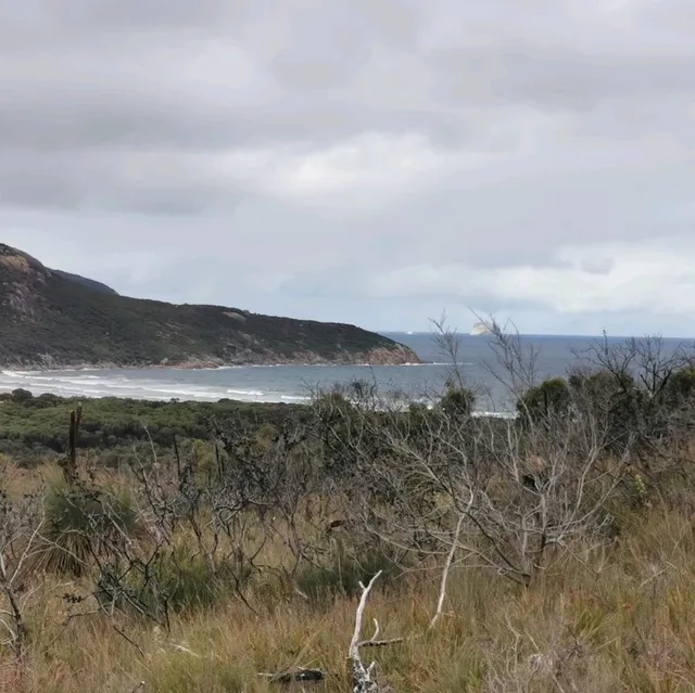 Tidal River 絶景キャンプ地