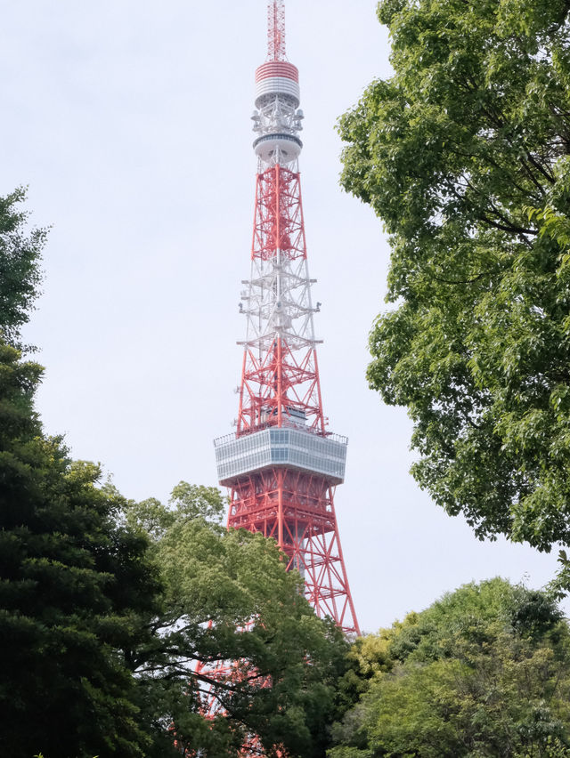 東京鐵塔🗼6個免費拍照地點