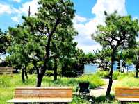曉碼頭公園