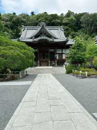 🏮【伊豆修善寺】隱世古町的日式療癒之旅🌿｜溫泉、竹林小徑、禪意滿滿✨