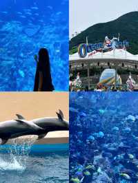 🐟人生建議：一定要去一次香港海洋公園！ 