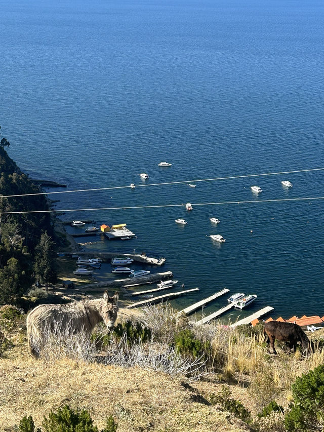 🇧🇴チチカカ湖を一望🌞ボリビア【コパカバーナ】 🇧🇴チチカカ湖を一望🌞ボリビア【コパカバーナ】