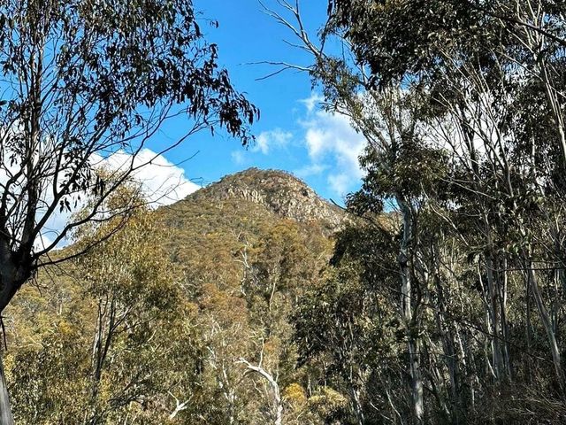 A must: Tidbinbilla Nature Reserve 🇦🇺