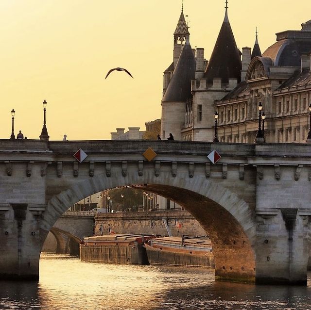 Exploring the Seine's Enchanting Banks
