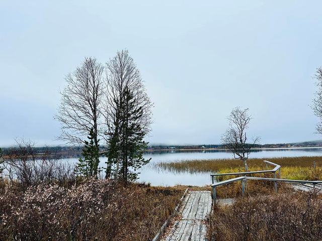 芬蘭🇫🇮景點- Äkäslompolo lake & Ylläs-Swing