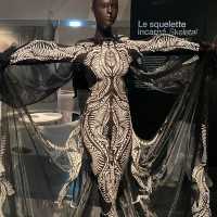 Iris van Herpen in Paris Museum 🗺️