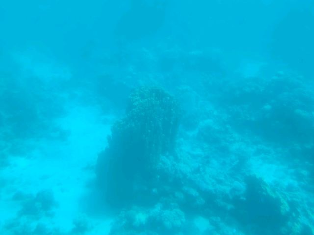 Neptune Submarine Boat: A Unique Underwater Experience in Aqaba