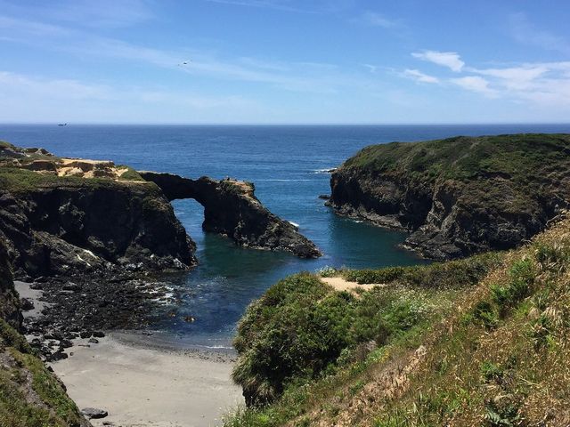 A Coastal Escape: Mendocino's Hidden Gems