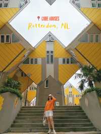Beautiful Places You Could Take Pictures in Rotterdam