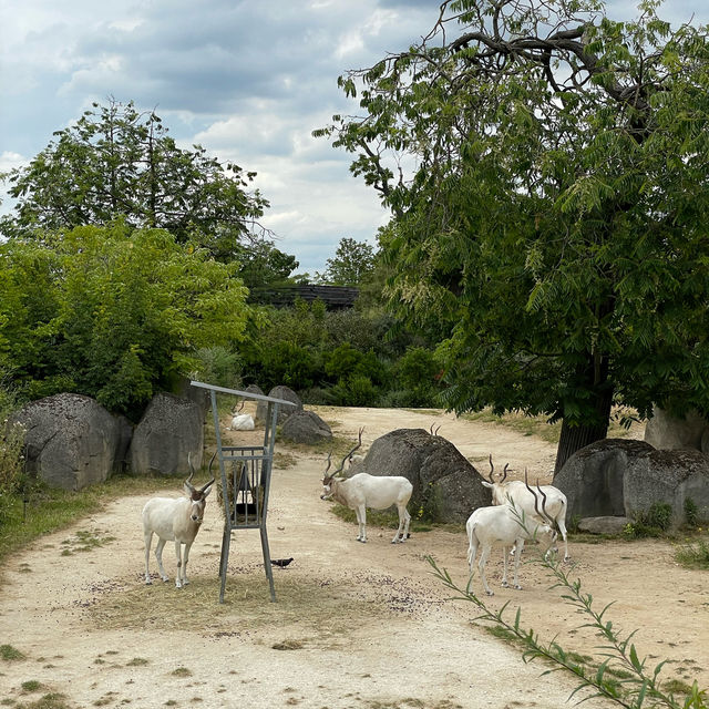 Animal Kingdom in Paris, anyone?