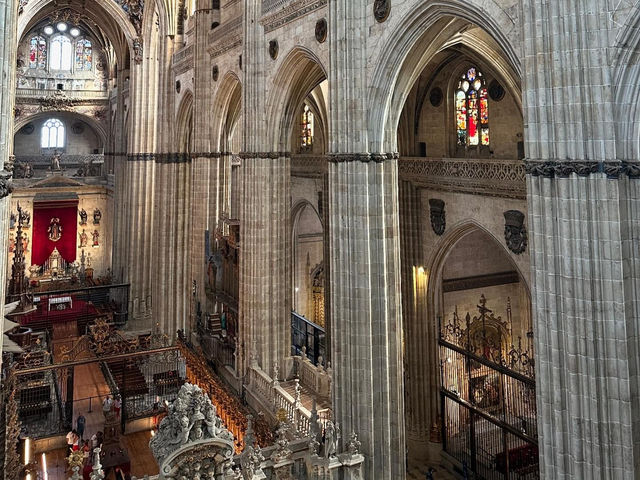 Salamanca Cathedral 🇪🇸