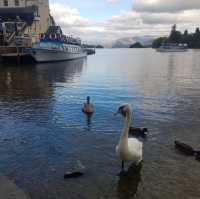 The Lake District - Windermere 