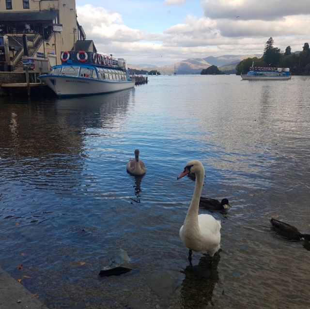 The Lake District - Windermere 