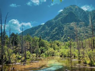Naga Hills in India 🇮🇳 