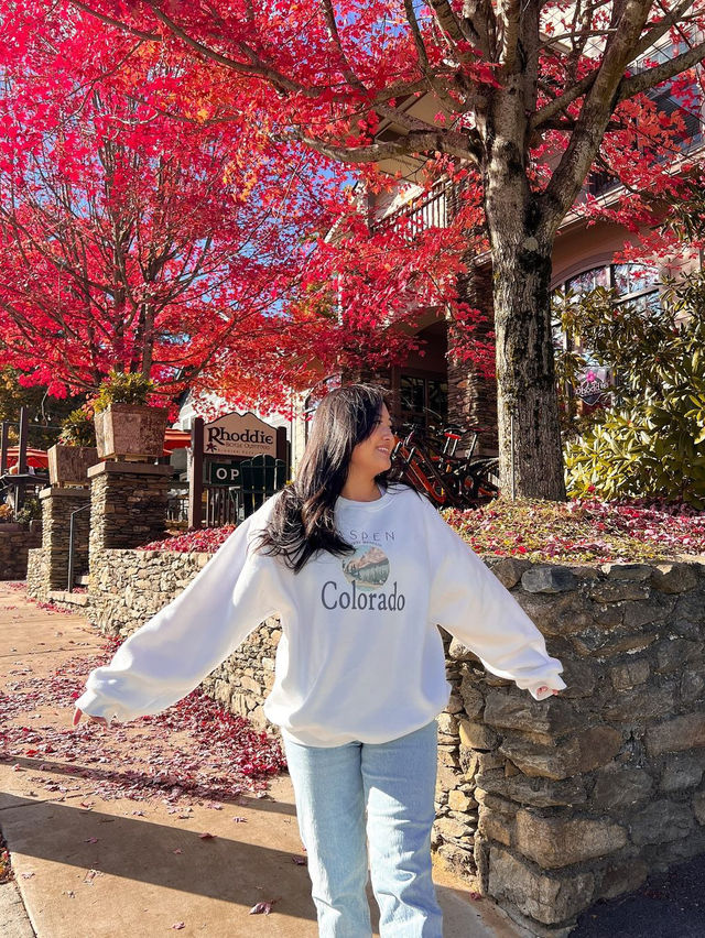 가을의 샬럿 탐험 🍁
