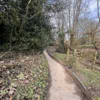 Winter on the Ribble way 