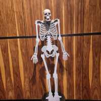 Cradle of humankind is a must vist