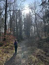 Into the woods