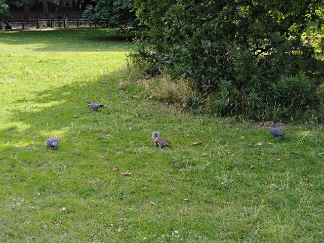 A Day in the Heart of London