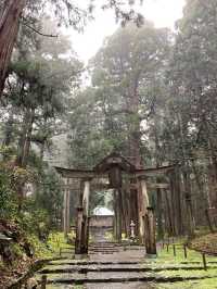 Wrapped in cedar trees and moss