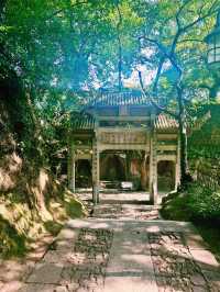 Why Hangzhou should be on your China bucket list! 