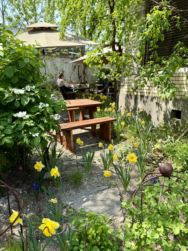 Blooming Spring Vibes at Dotori Garden Anguk