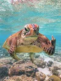 Olympos Marine Park