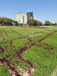 Spring Stroll to Victory Square in Bishkek