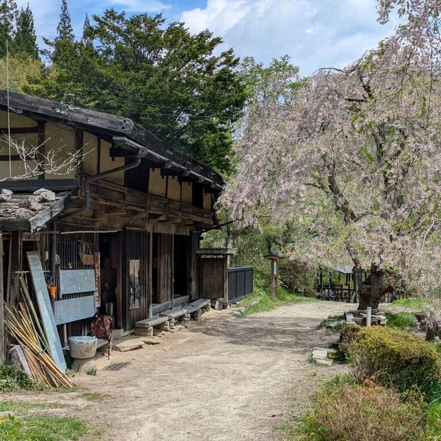 Magome-Tsumago Trail (Old Nakasendo). Personal recommendations