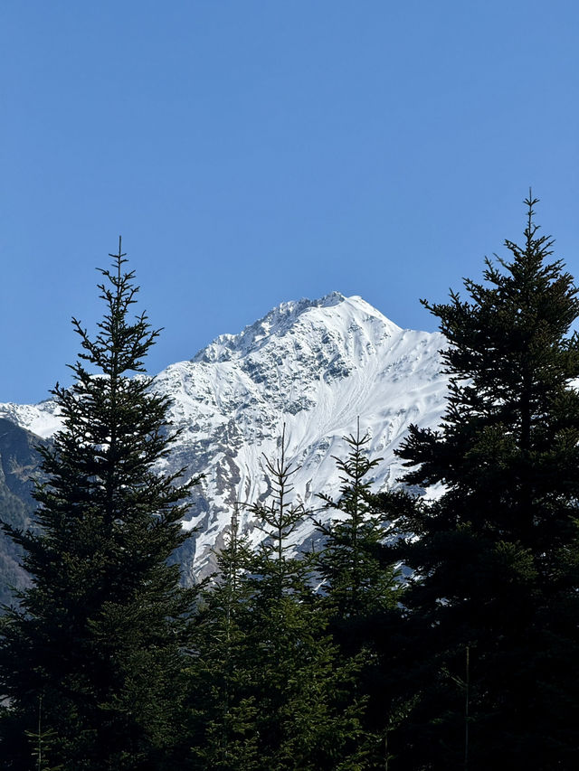can’t afford the Dolomites? try Svaneti instead 🏔️🇬🇪