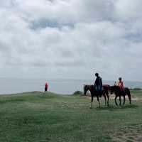 From Capital to Coastline: London to Weymouth by Train