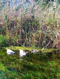 Azmak River, Akyaka: Crystal Waters & Natural Serenity