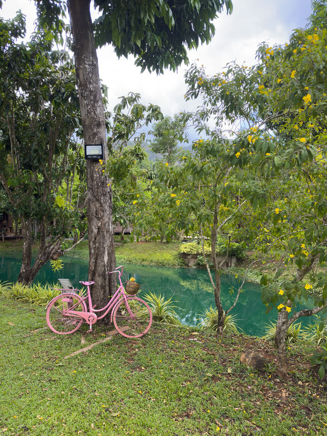 Peaceful spot with beautiful river to swim
