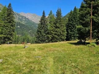Val Daone: A Day Where Nature Writes the Story