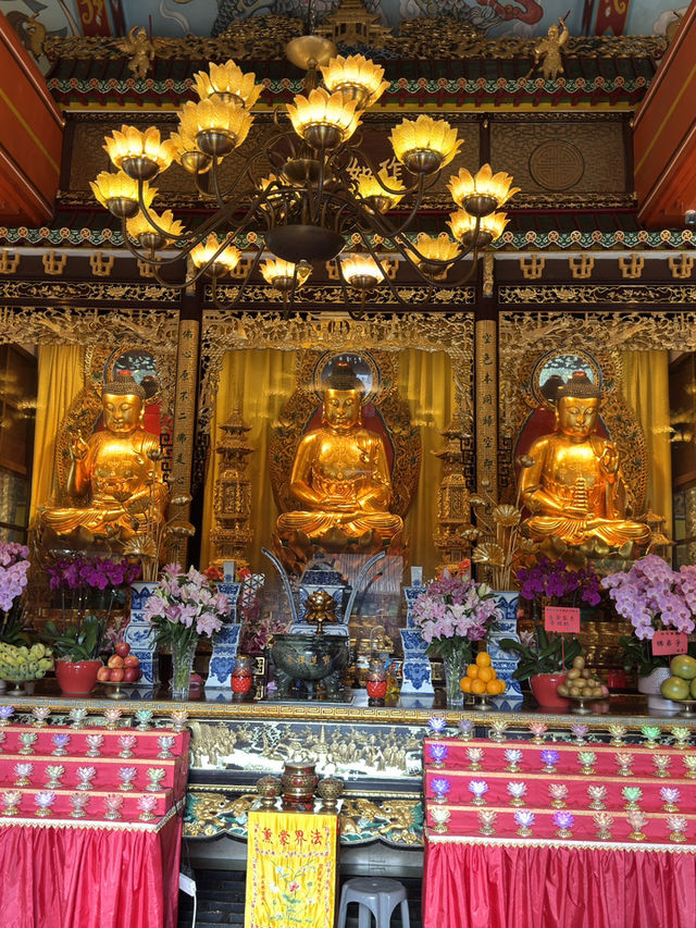 The Big Buddha of Hong Kong: Serenity Above the Clouds