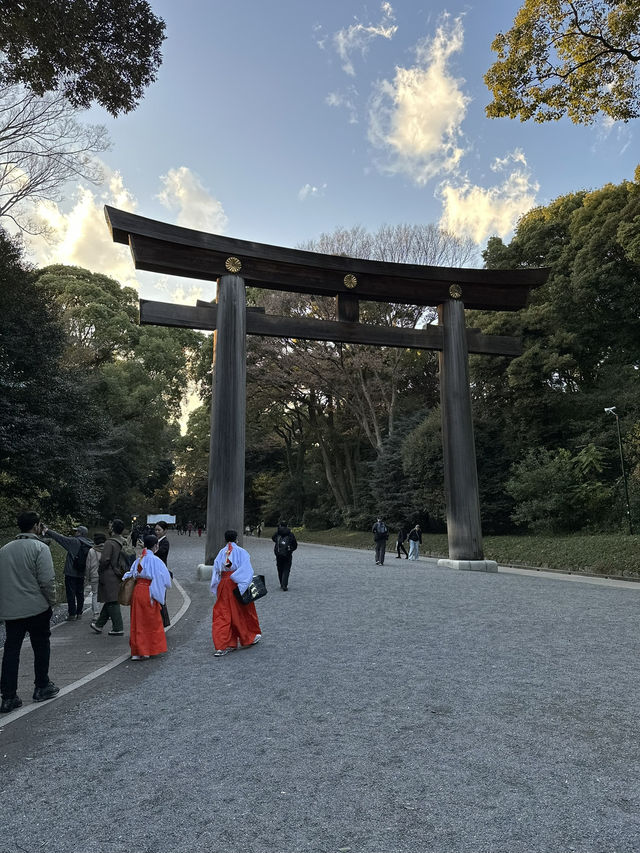 Japan Itinerary 9: Tokyo art, street, gardens and shrines