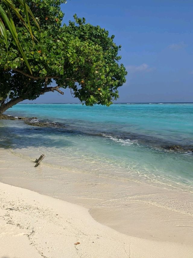 Dreamy Maldives Stay🌧️