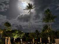 🌴 Bora Bora Bliss: A Tropical Paradise Worth Every Moment