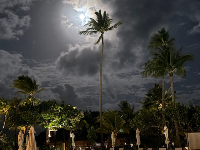 🌴 Bora Bora Bliss: A Tropical Paradise Worth Every Moment