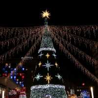 A December Fairy Tale: The Dresden Christmas Markets 🎄🇩🇪