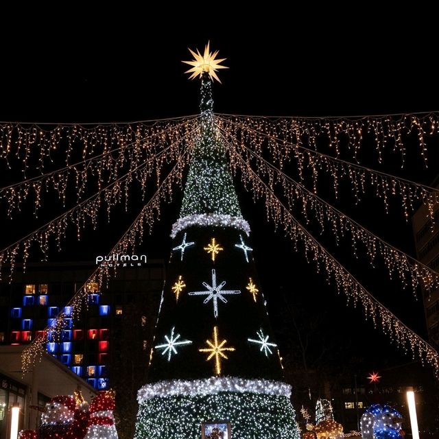 A December Fairy Tale: The Dresden Christmas Markets 🎄🇩🇪