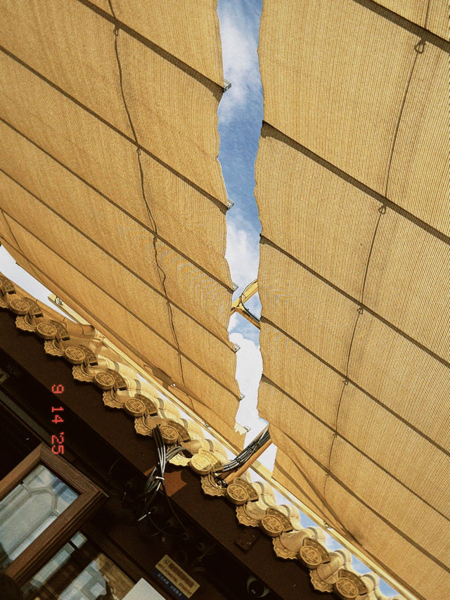 Hangzhou in One Day: What I Wish I Knew Before Going Hangzhou in One Day: What I Wish I Knew Before Going