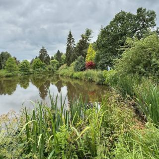 베지베리 국립 소나무 숲 및 삼림